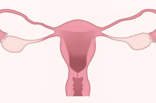 pmd-kan-opereres-vaek-uterus